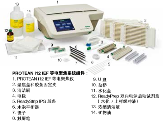 美國 伯樂 雙向電泳系統(tǒng)（多通道等電聚焦系統(tǒng)）